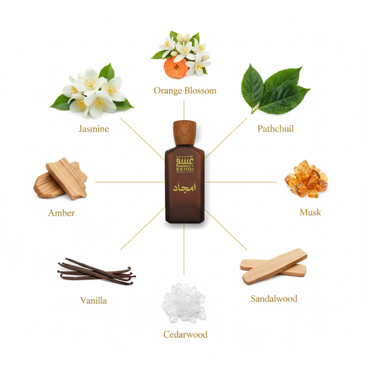 Amjad Perfume - Ingredients with Connecting Lines