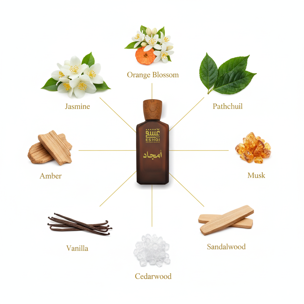 Amjad Perfume - Ingredients with Connecting Lines
